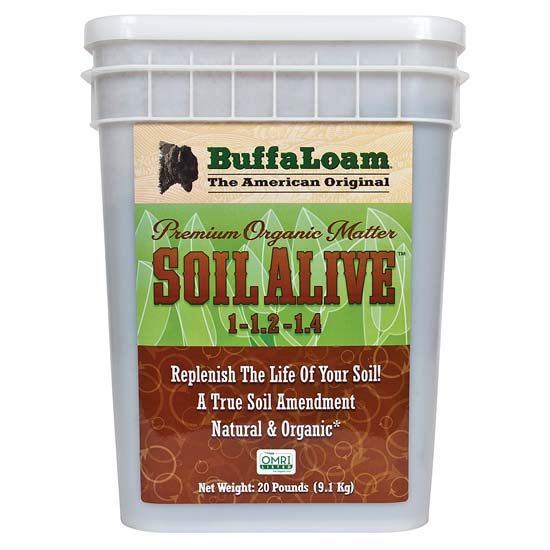 Buffaloam - Buffalo Compost Continued