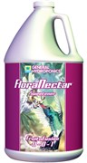 Flora Nectar Fruit-n-Fusion Sweetener - 1 gal