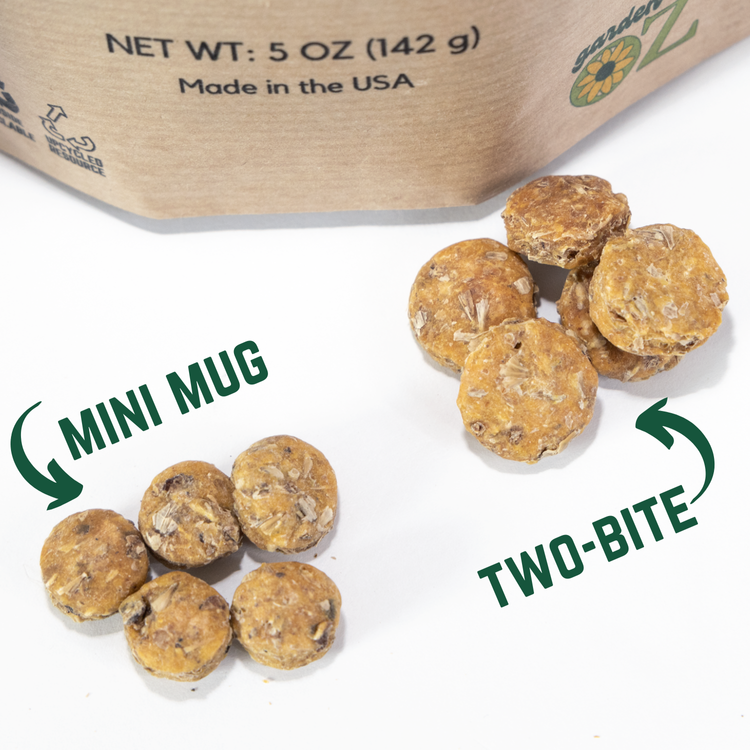 Garden of Oz Brew Bites Pumpkin Dog Treats