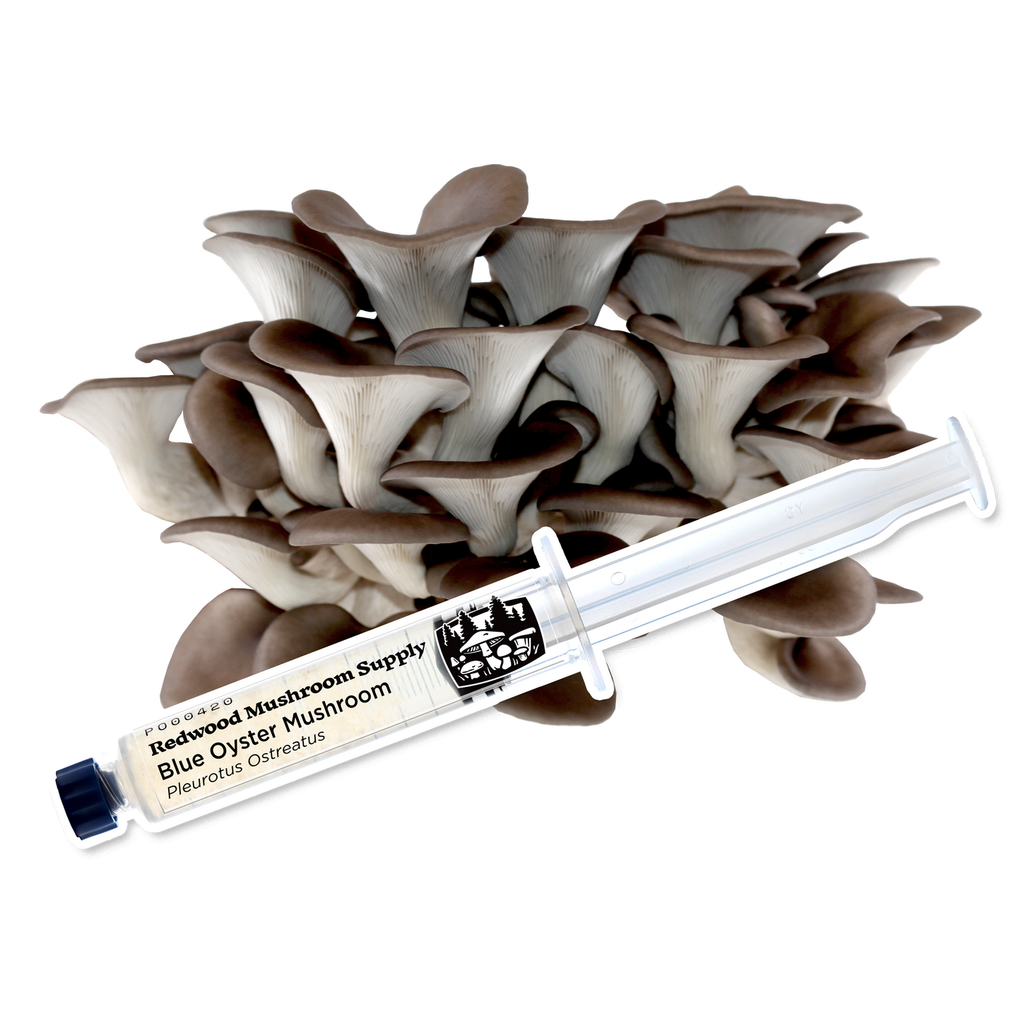 RMS Blue Oyster Liquid Culture Syringe