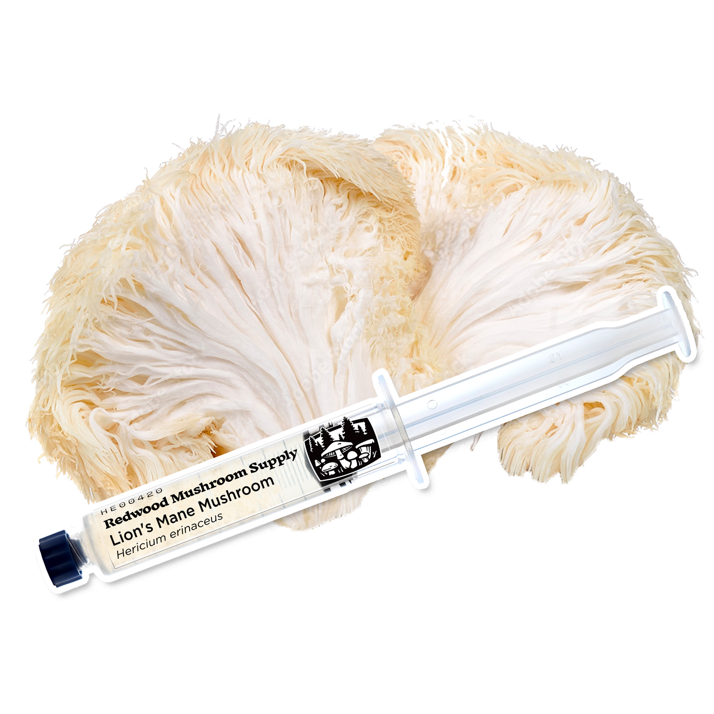 RMS Lion's Mane Liquid Culture Syringe