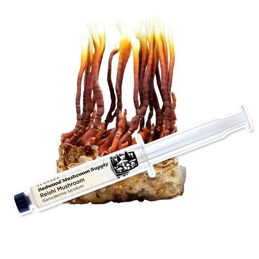 RMS Reishi Liquid Culture Syringe