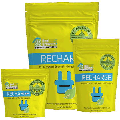 Real Growers Recharge - Natural Plant Growth Stimulant Powder