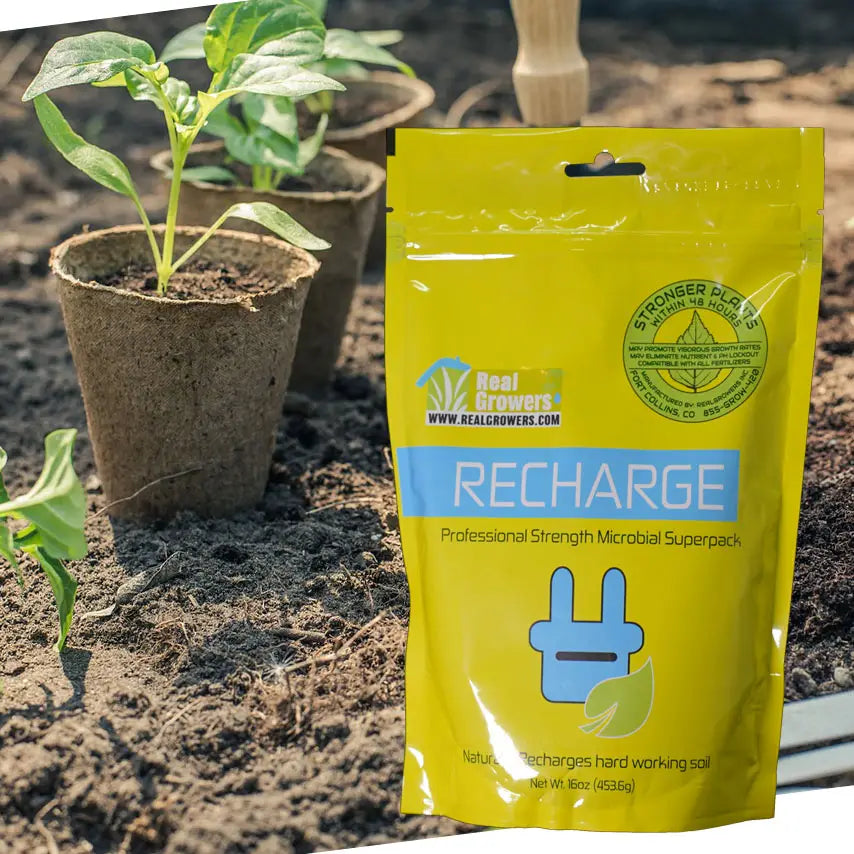 Real Growers Recharge - Natural Plant Growth Stimulant Powder