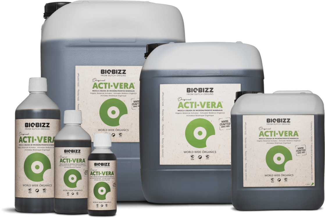 Thé vert de Chine BIO - Qualité Sélection VEGETAL VIVA DERM