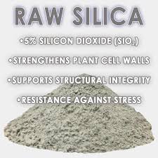 What Is A Good Dry Silica Additive for Plants?