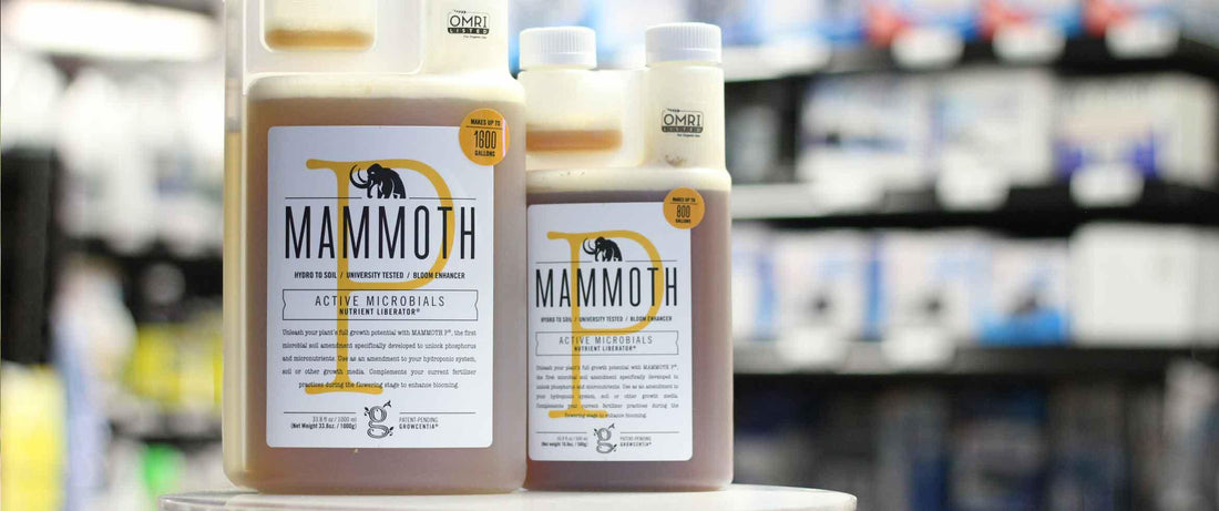 Are the Dark Bottles of Mammoth P Good to Use?