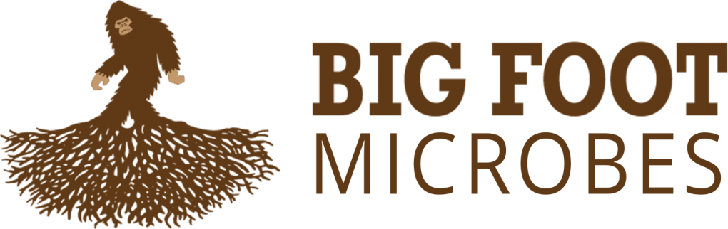 Big Foot Mycorrhizae