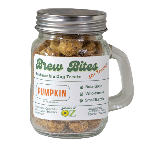 Garden of Oz Brew Bites Mini Mug Pumpkin Dog Treats