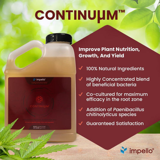 Impello Continuµm 250 mL