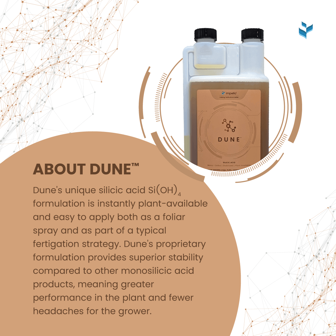 Impello Dune 1000 mL
