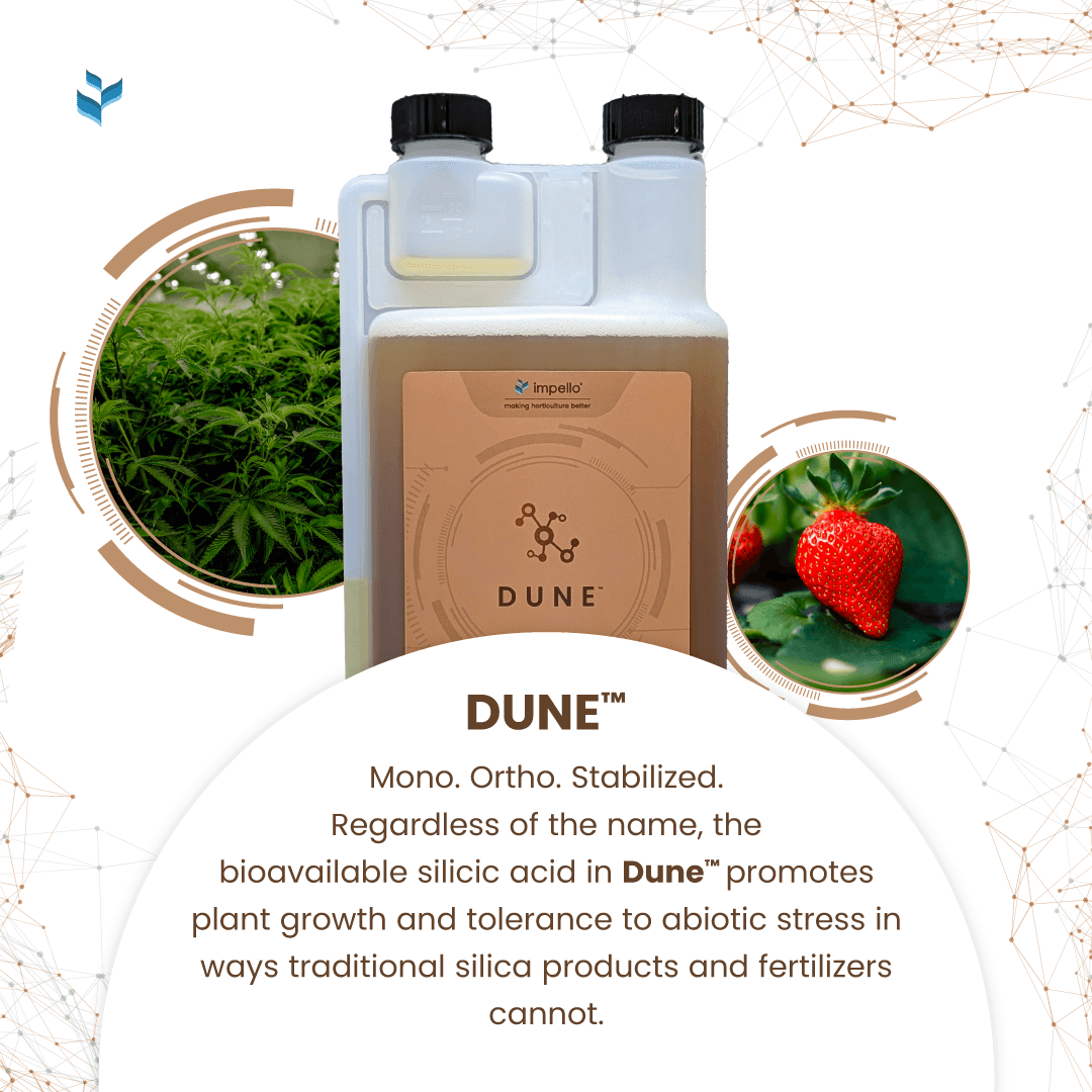 Impello Dune 1000 mL