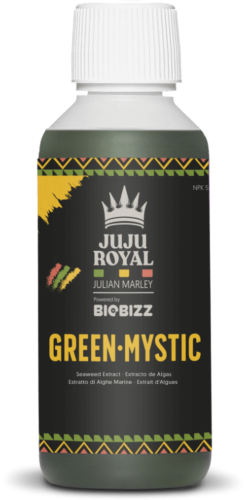 Juju Royal Green Mystic Seaweed Extract 250 mL