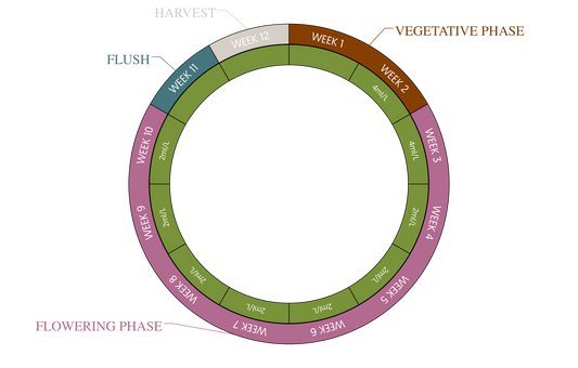 Juju Royal Grow-Soldier 5 L