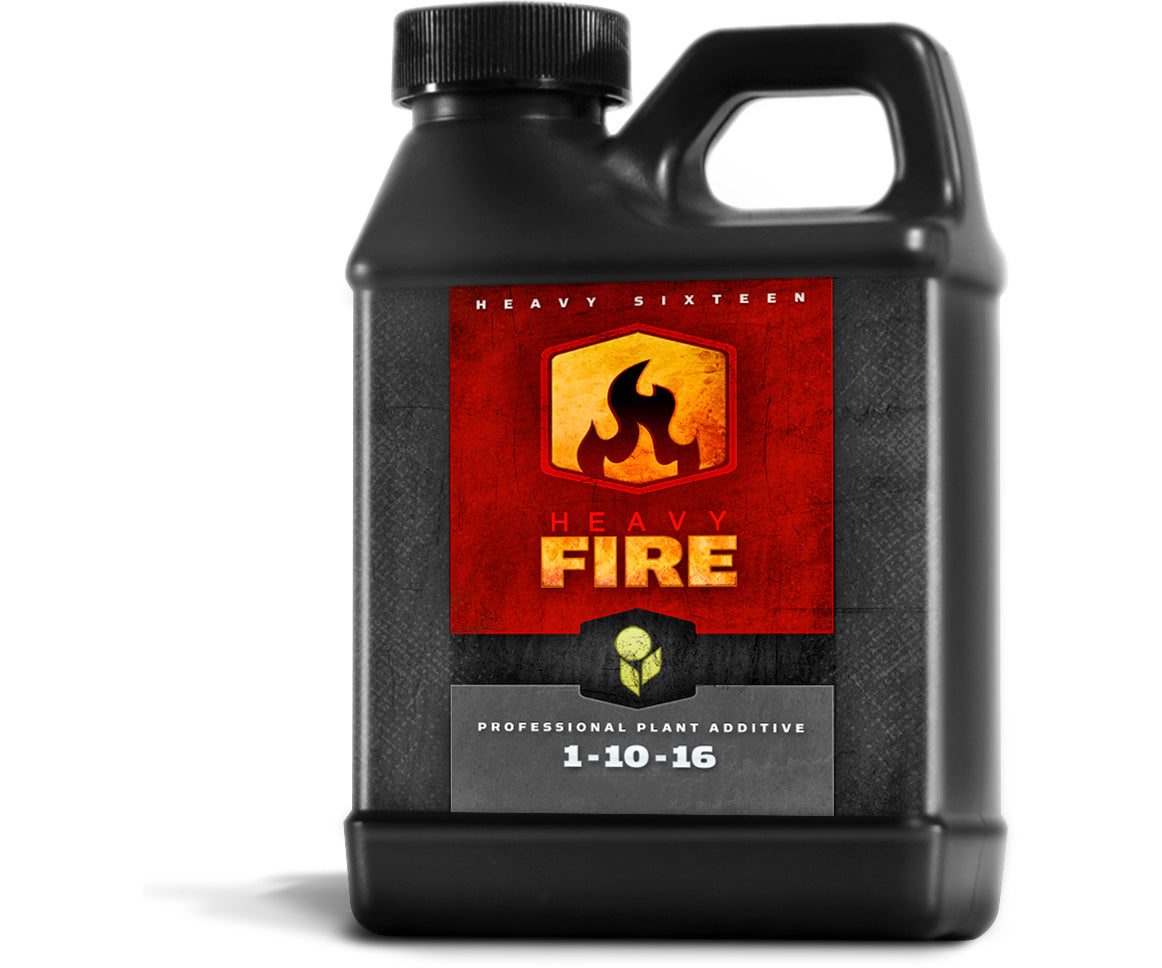 Heavy16 Fire 16oz (500ml)