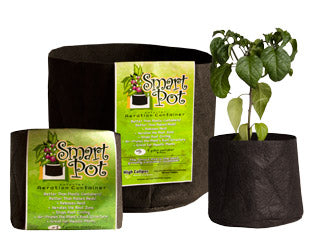 5 Gallon Smart Pot 12x 9.5