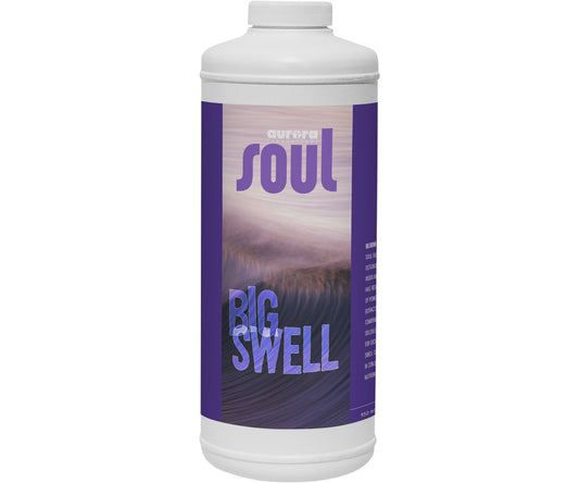 Soul Big Swell Qt