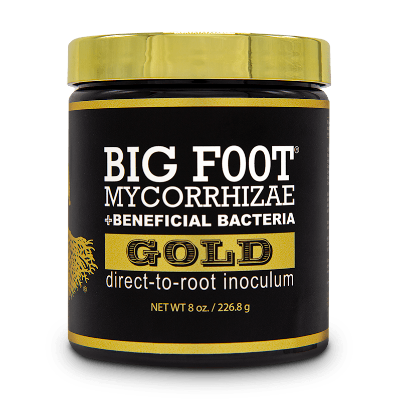 Big Foot Gold 8 oz