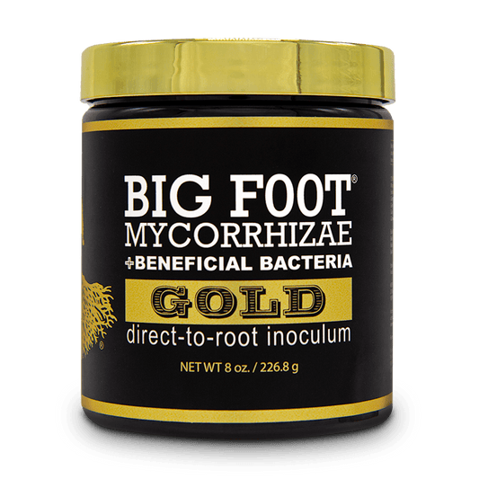 Big Foot Gold 8 oz
