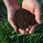 Rocky Mountain Soil Stewardship Worm Castings Vermicompost