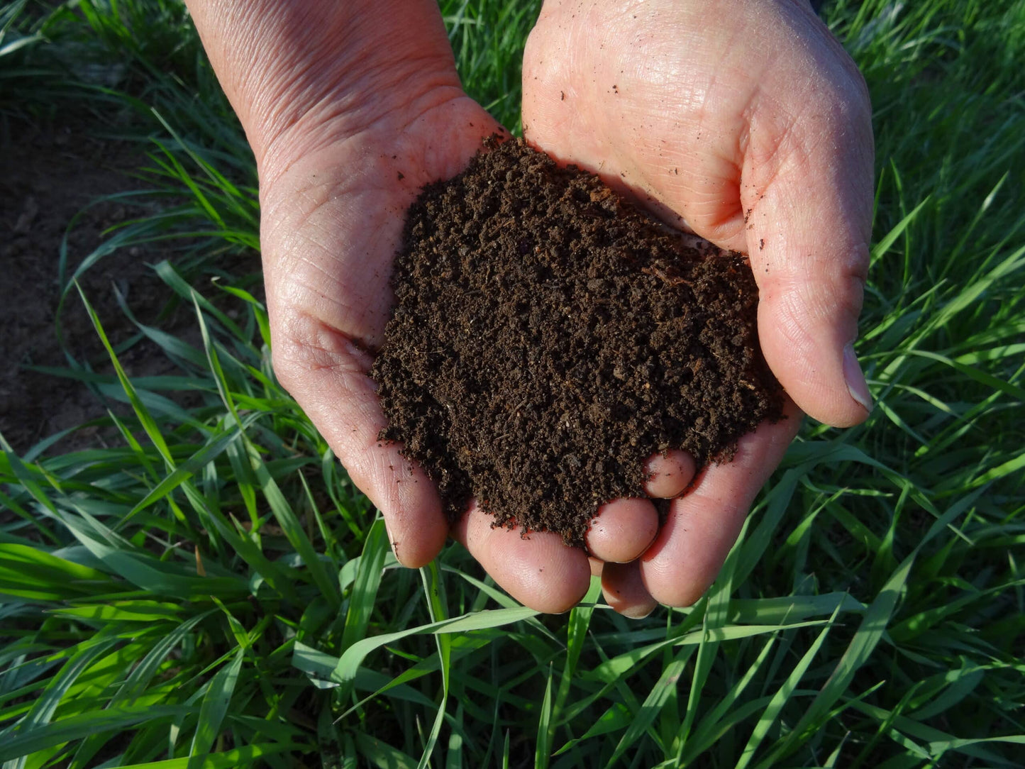 Rocky Mountain Soil Stewardship Worm Castings Vermicompost