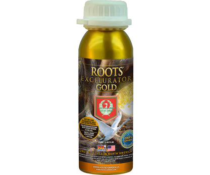 House and Garden Roots Excelerator Gold