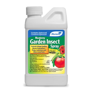 Monterey Organic Garden Insect Spray Concentrate with Spinosad OMRI Listed