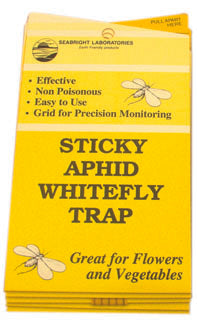 Yellow Sticky Traps for Aphids, Whiteflies and Fungus Gnats (5 pack)